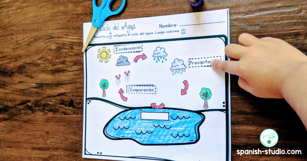 water cycle in spanish